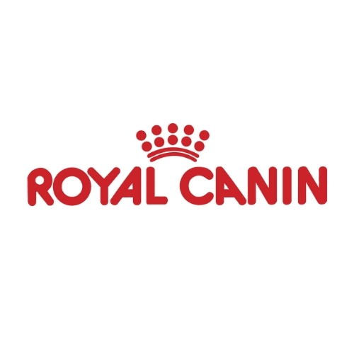 Adsız tasarım - 2025-08-06T163951.068