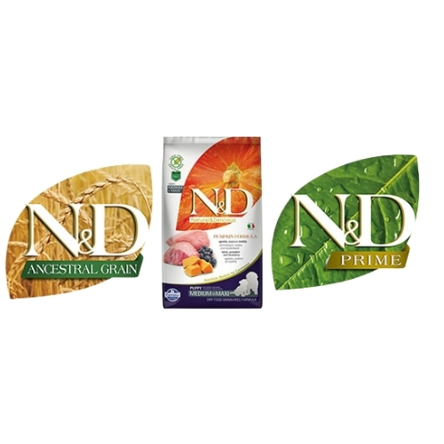 Adsız tasarım - 2025-08-06T164041.091